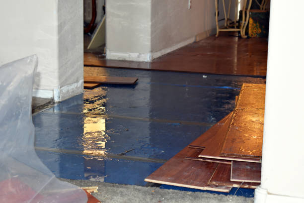 Professional Emergency Water Damage Restoration technician working in Paeonian Springs, VA